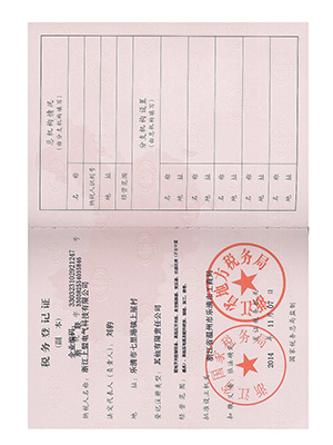 税务登记证-副本